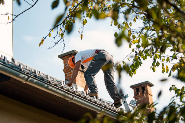 Trusted Sterling, AK Roofing Contractor Experts