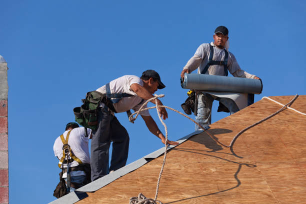 Best Emergency Roof Repair  in Sterling, AK