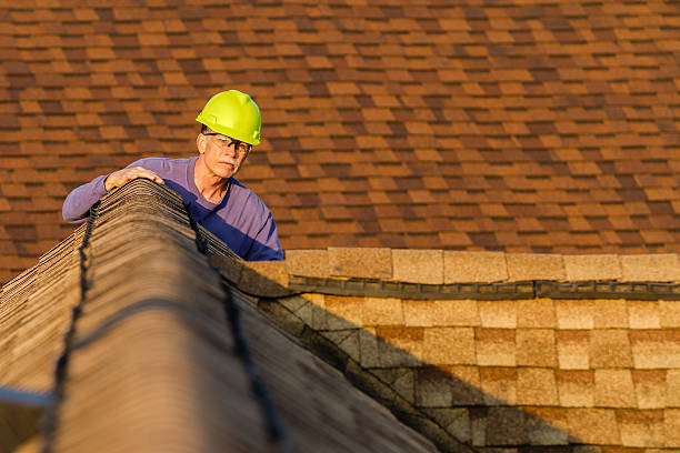 Sealant for Roof in Sterling, AK