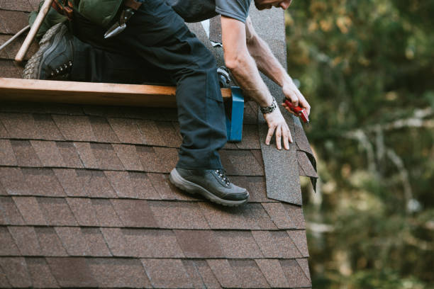 Best Storm Damage Roof Repair  in Sterling, AK